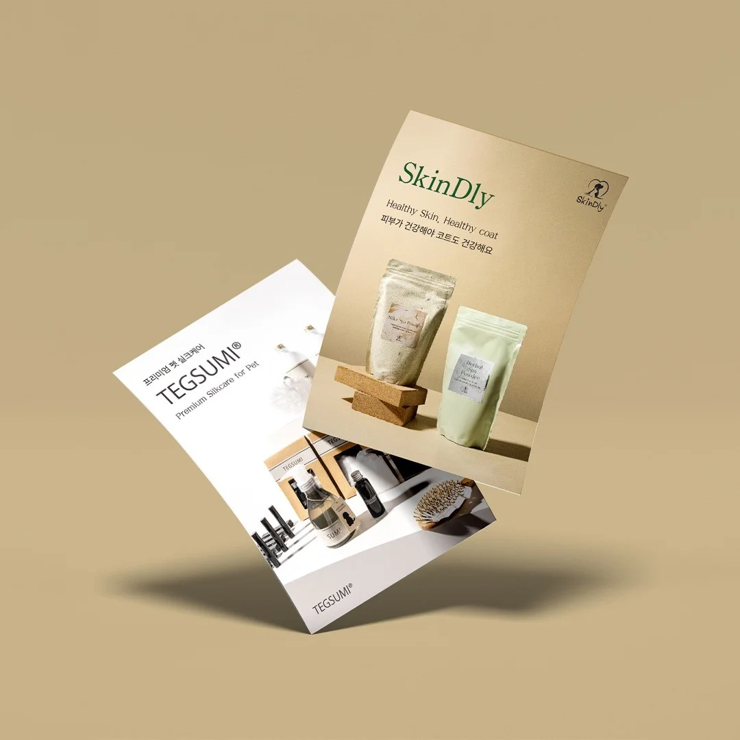 포트폴리오 메인이미지