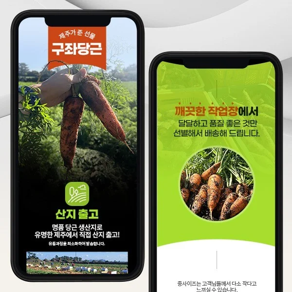 포트폴리오 메인이미지