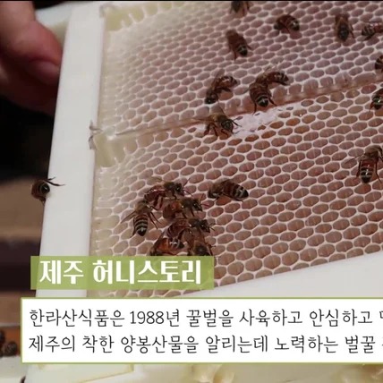 포트폴리오-제주벌꿀체험농장 허니스토리 매장/제품 홍보인터뷰영상 및 온라인KIT가이드