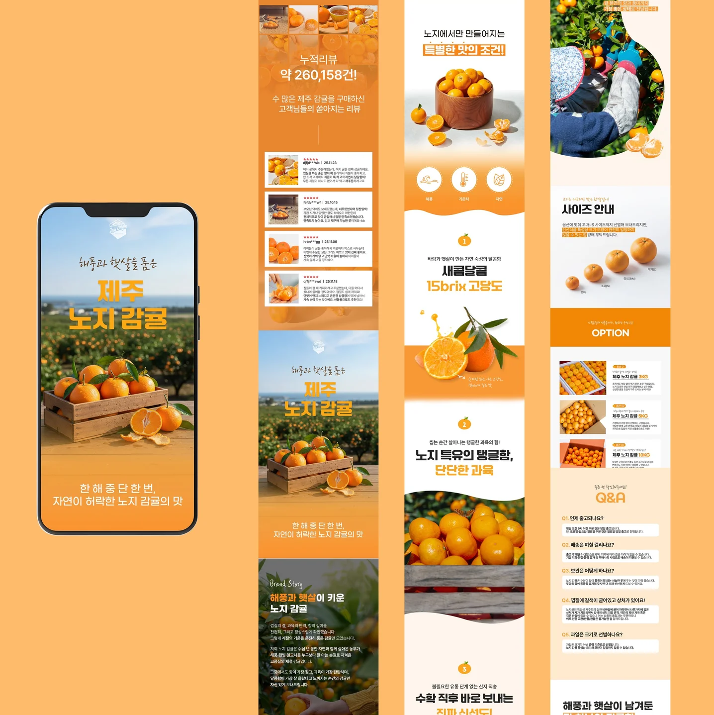 포트폴리오 메인이미지