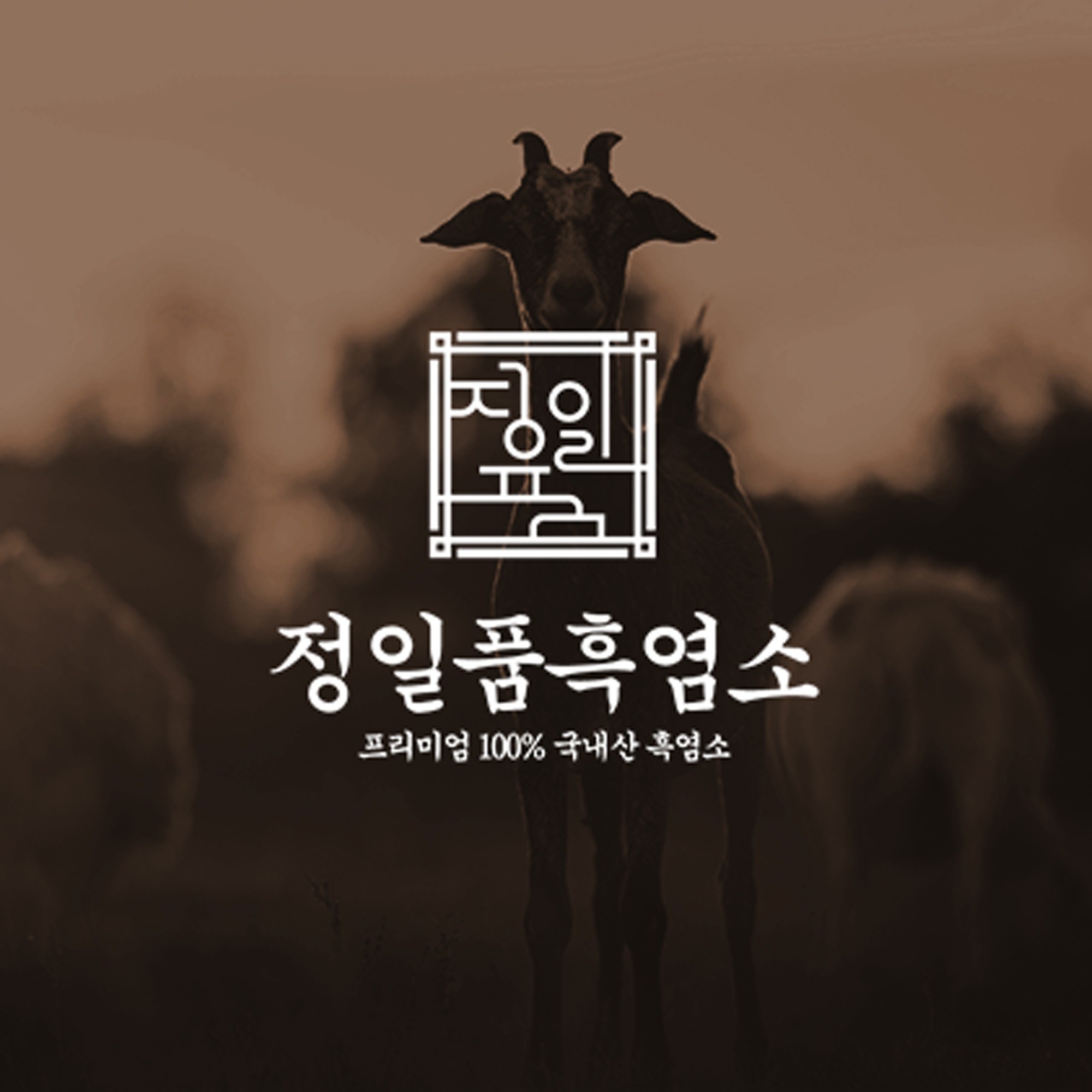 로고디자인 전문가 OX디자인 - 크몽