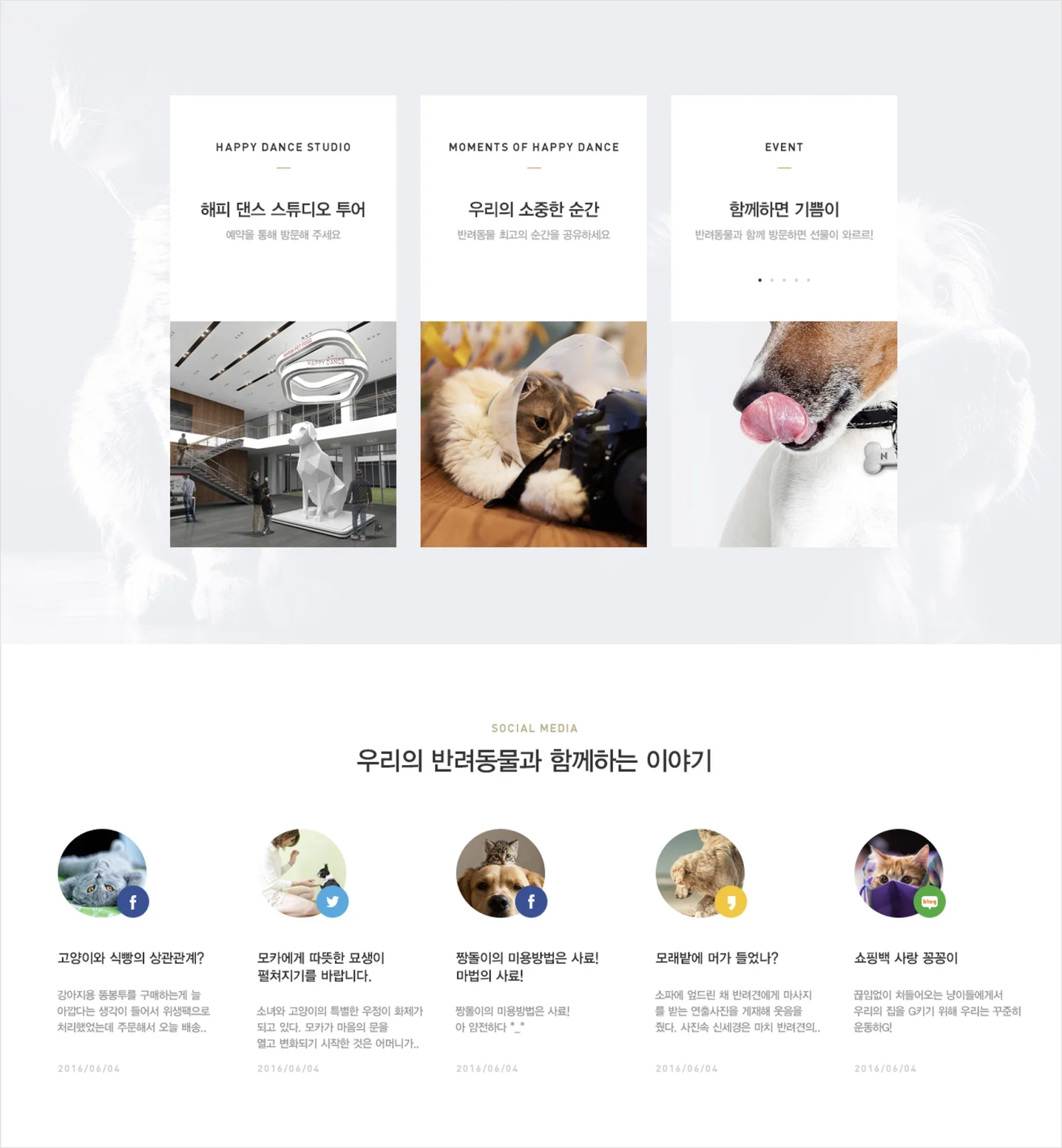 디자인 포트폴리오