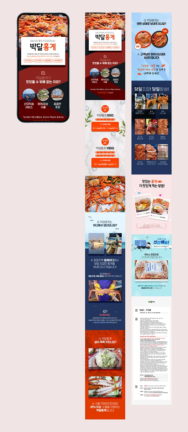 디자인 포트폴리오