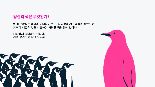 디자인 포트폴리오