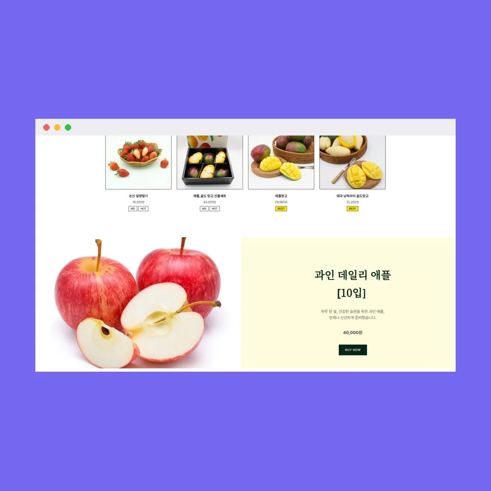 디자인 포트폴리오
