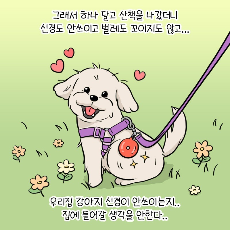 포트폴리오-강아지 진드기 퇴치제 제품 홍보용 웹툰