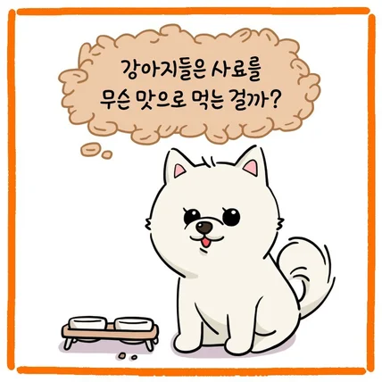포트폴리오-더마독 강아지 사료 홍보용 SNS 웹툰