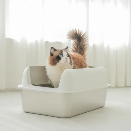 포트폴리오-고양이 화장실 제품촬영