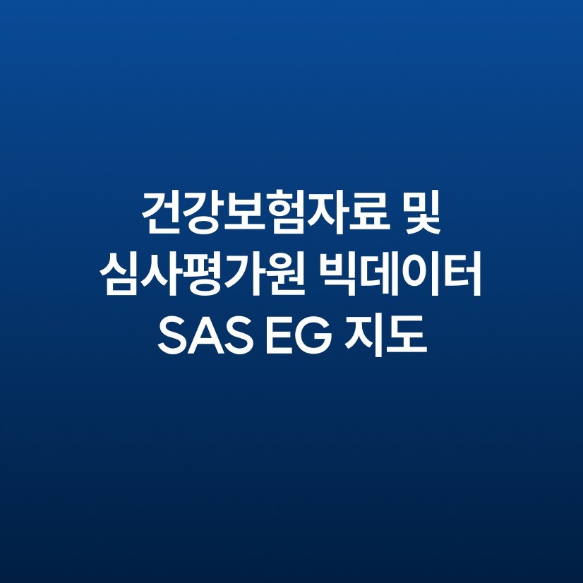 포트폴리오-건강보험자료 및 심사평가원 빅데이터 SAS EG 지도합니다.