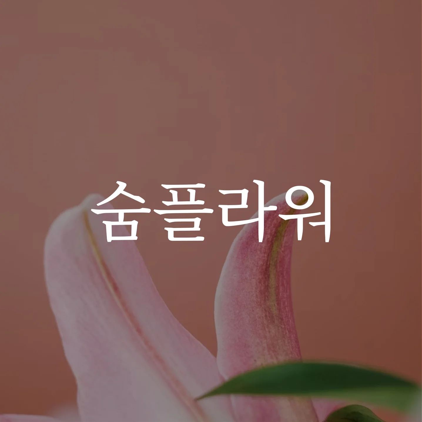 포트폴리오 메인이미지