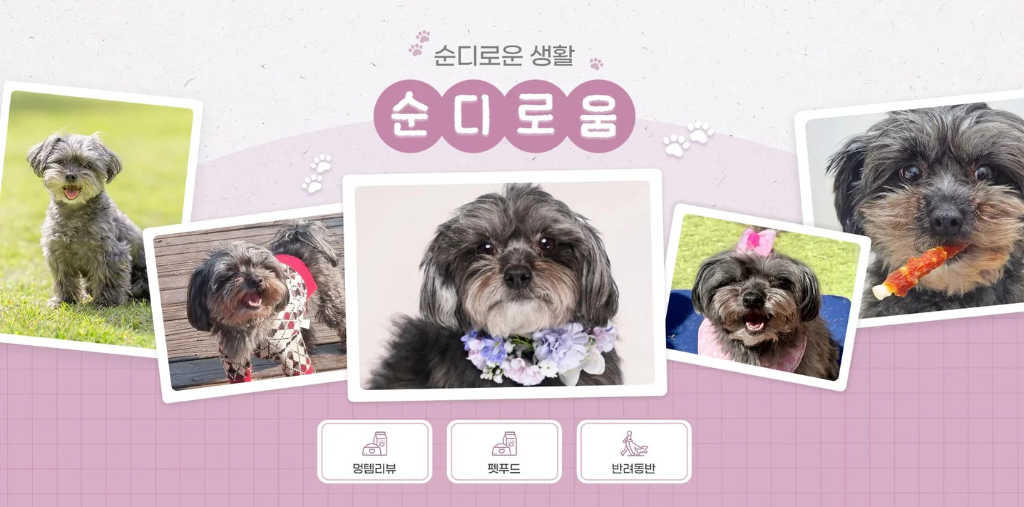 디자인 포트폴리오