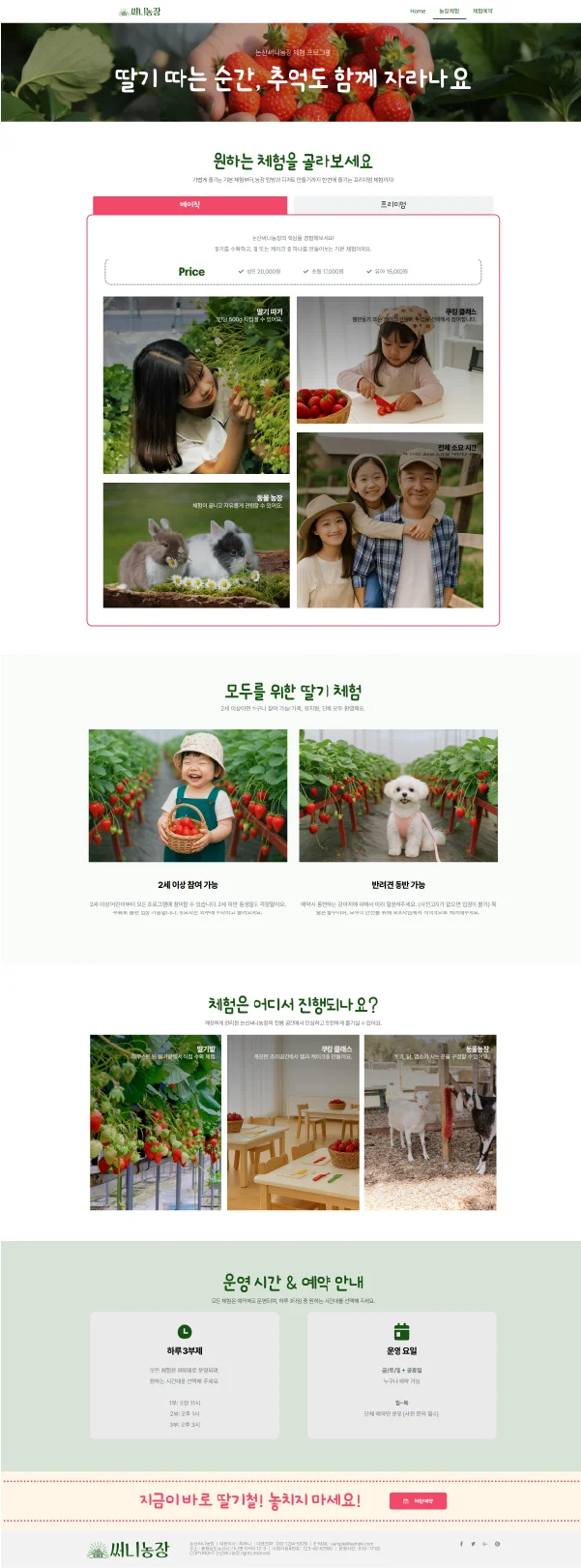 디자인 포트폴리오