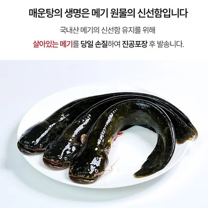 포트폴리오-메기 매운탕 밀키트 음식 상세페이지 제작