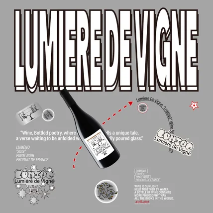 포트폴리오-Lumiere De Vigne 와인 브랜드 디자인