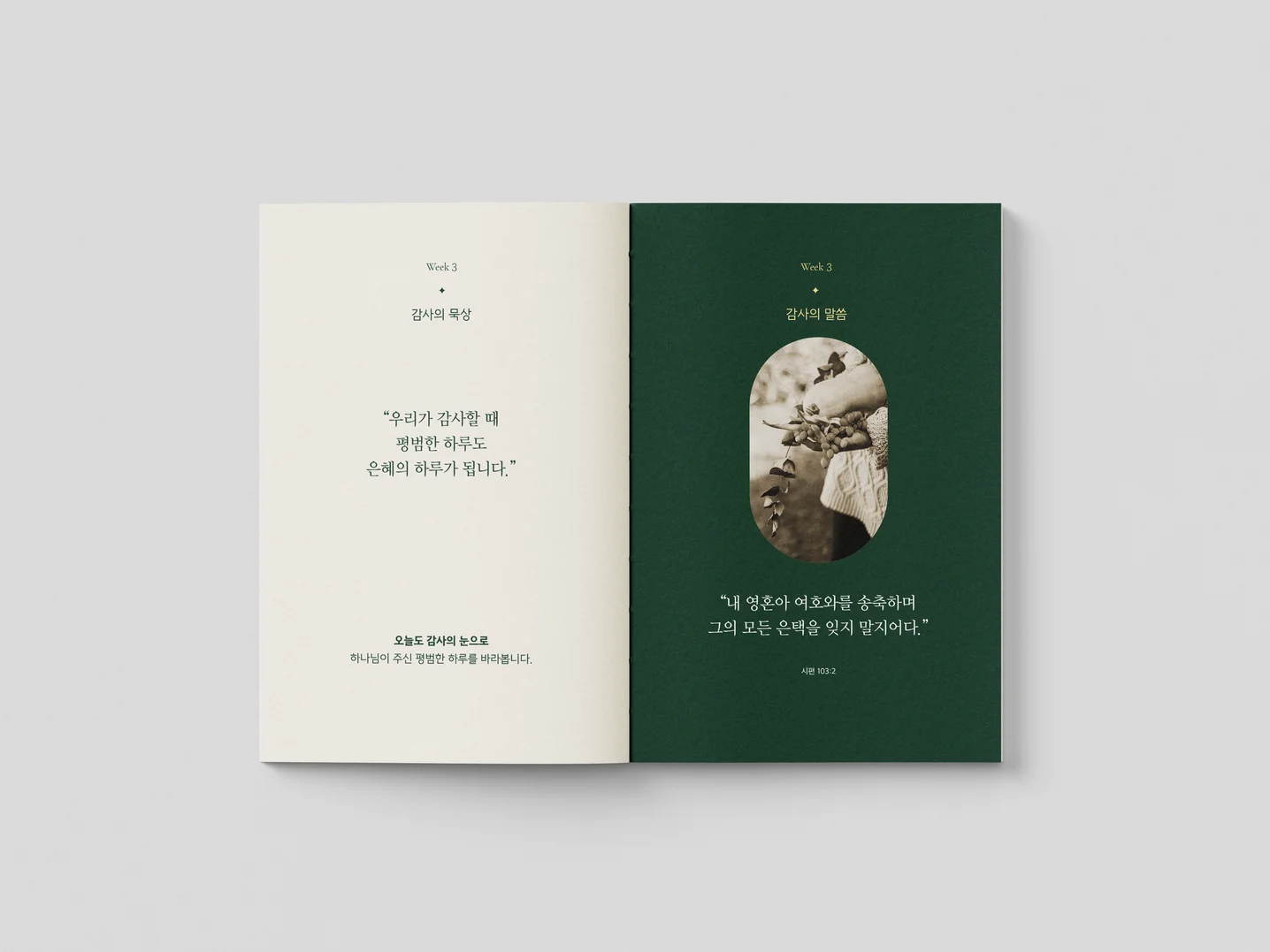 디자인 포트폴리오