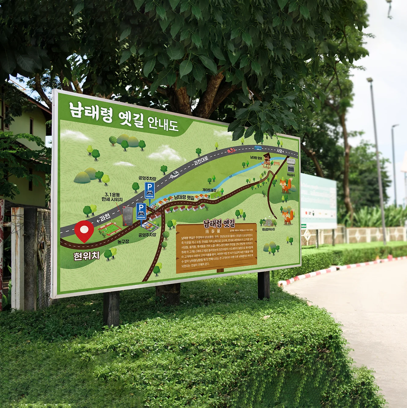 디자인 포트폴리오