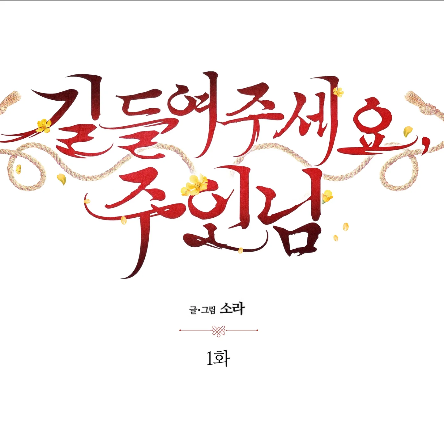 포트폴리오 메인이미지