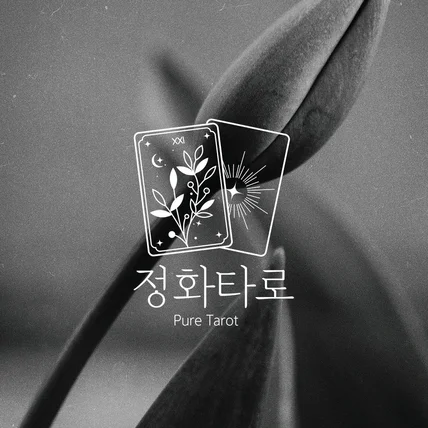 포트폴리오-타로카드운세 '정화타로' 콘텐츠 로고 / 일러스트 로고 / 로고디자인 / CI / BI
