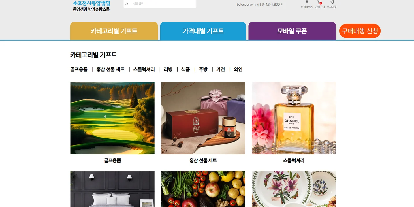 디자인 포트폴리오