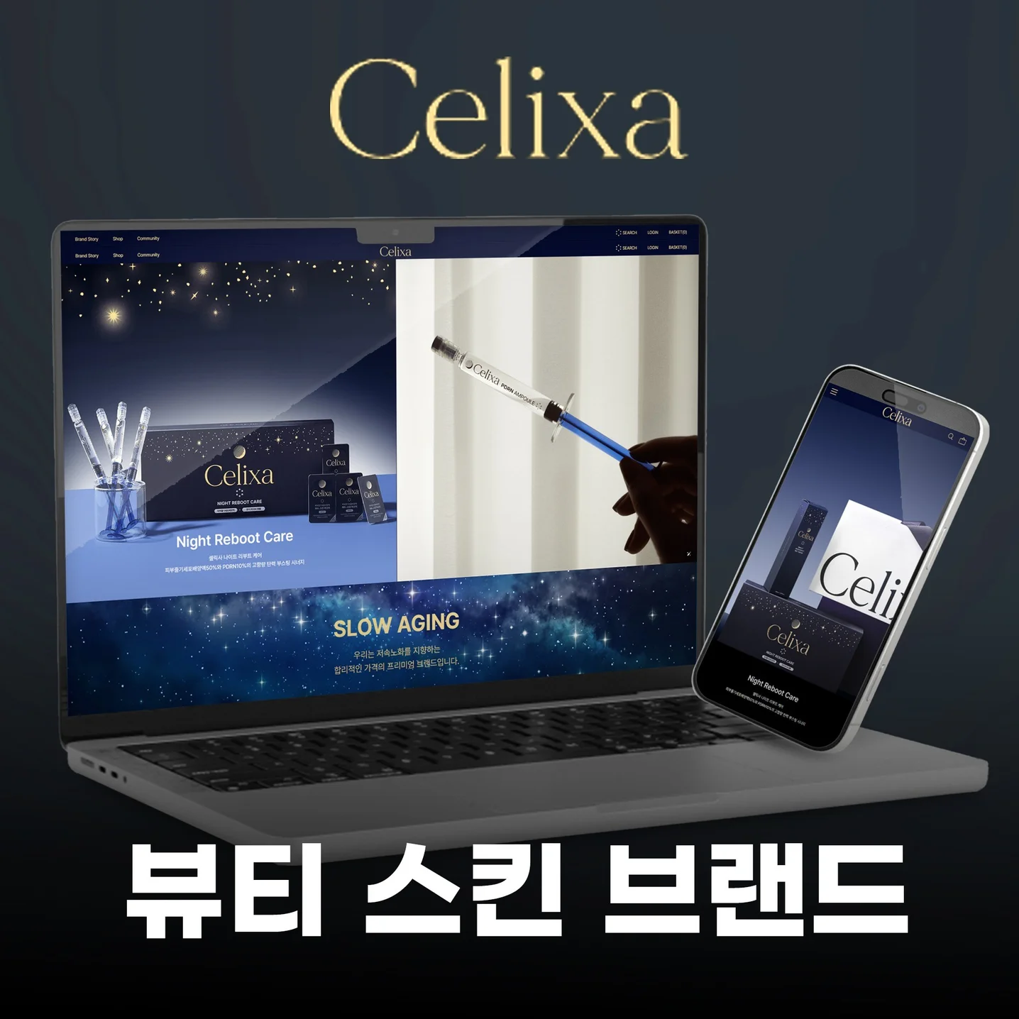 포트폴리오 메인이미지