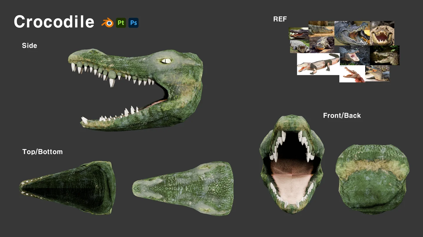 디자인 포트폴리오