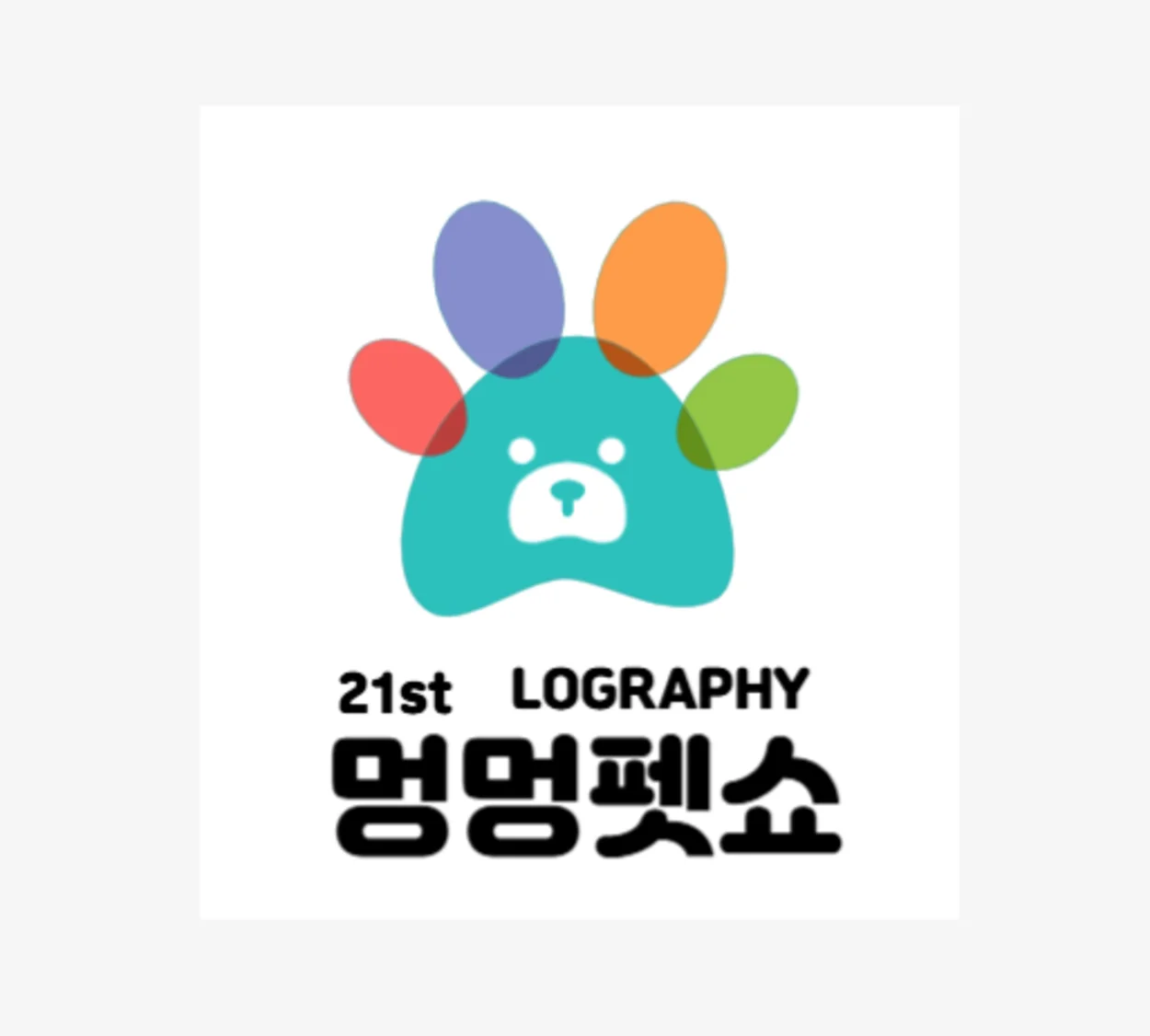 디자인 포트폴리오