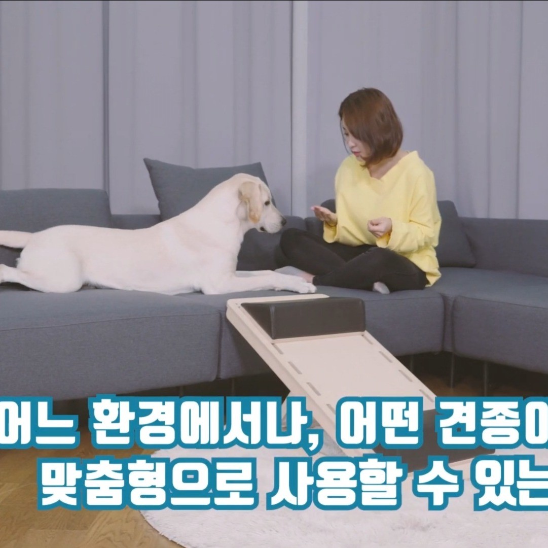 대형사진 - 크몽 포트폴리오 검색