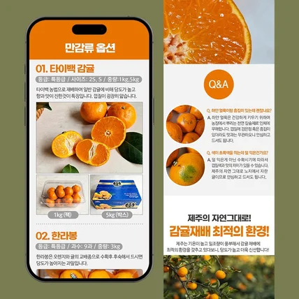 포트폴리오-상세페이지