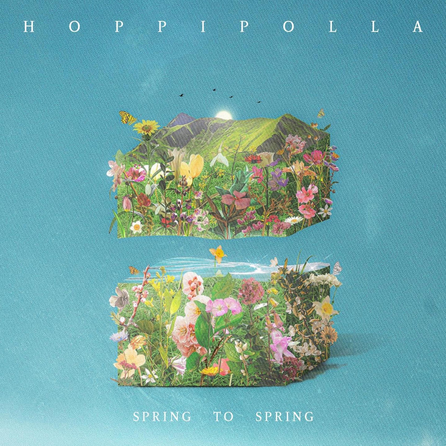 포트폴리오-호피폴라 [SPRING TO SPRING] (2020)