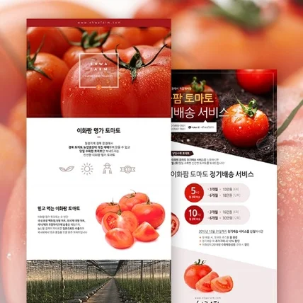 포트폴리오-이화팜 토마토 농산물 상세페이지