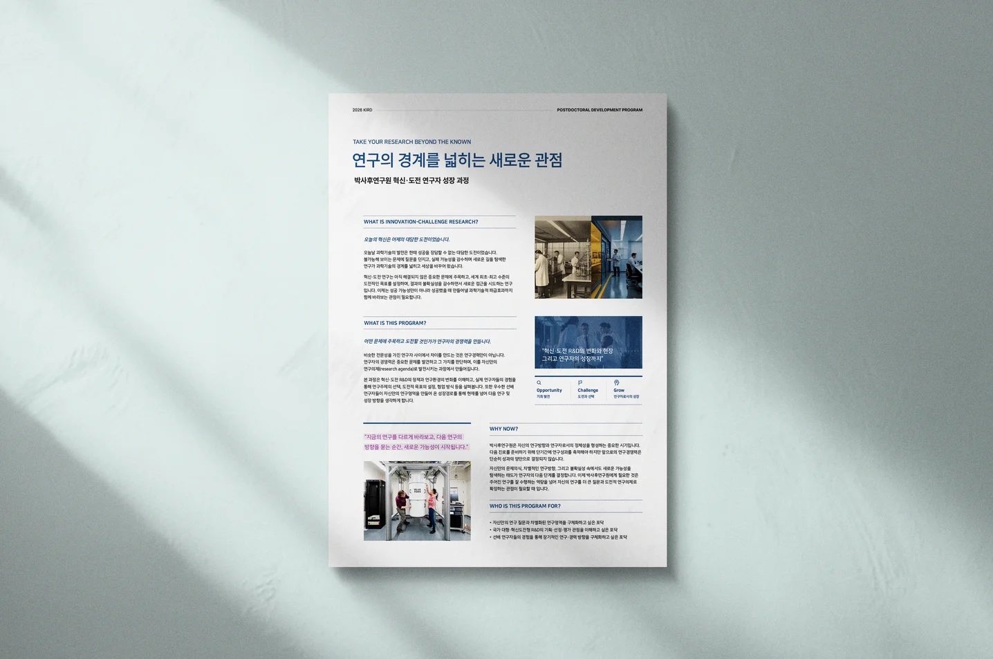 디자인 포트폴리오