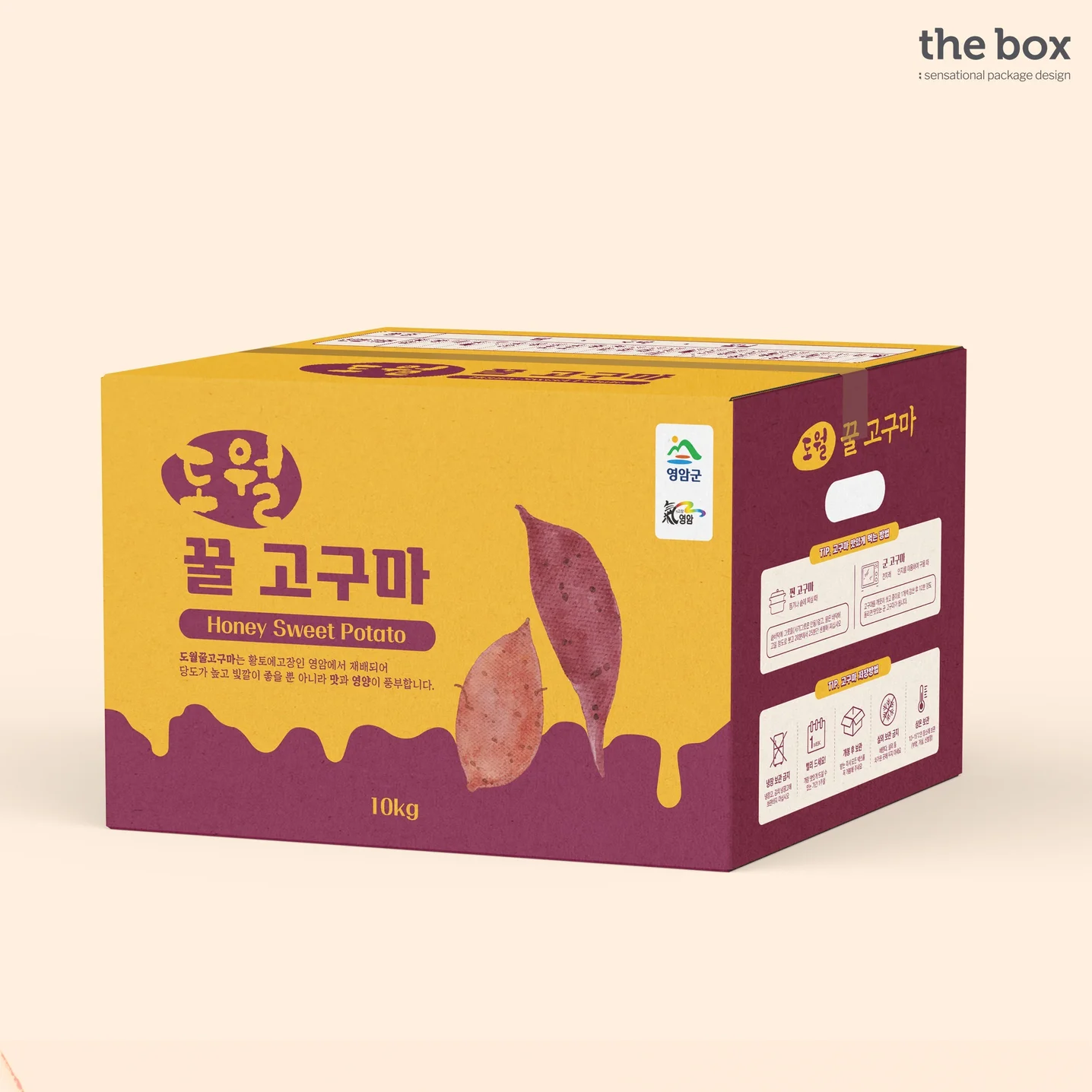 포트폴리오 메인이미지