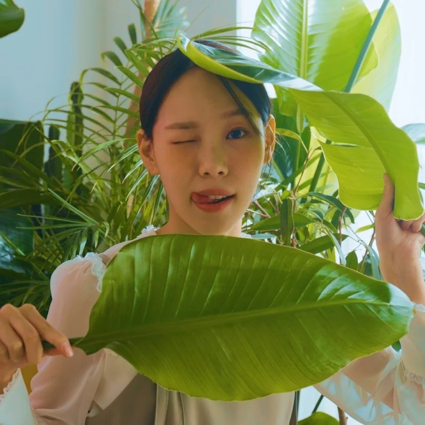 포트폴리오 메인이미지
