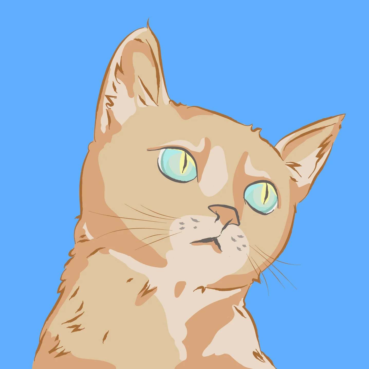 포트폴리오 메인이미지