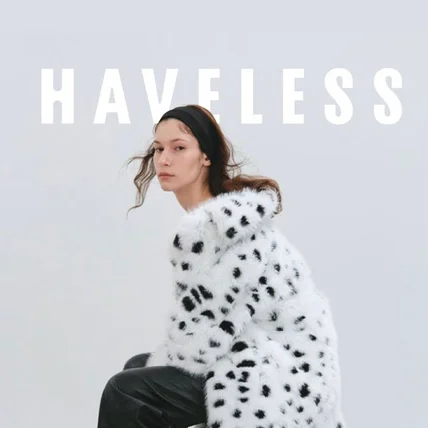 포트폴리오-HAVELESS BI DESIGN