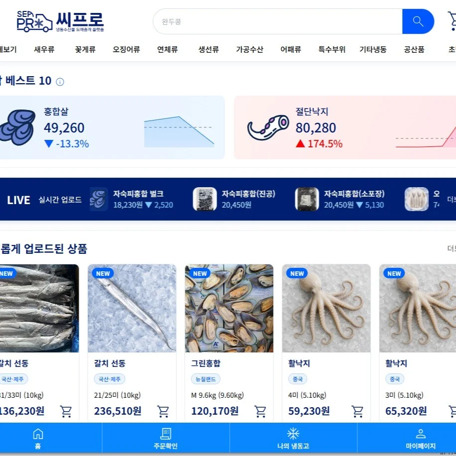 포트폴리오 메인이미지