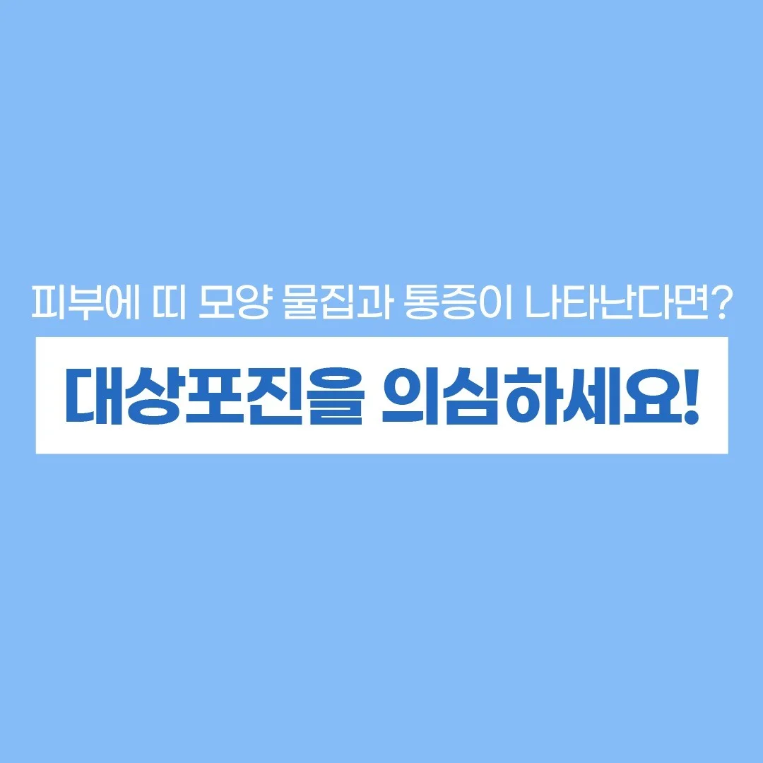 포트폴리오 메인이미지