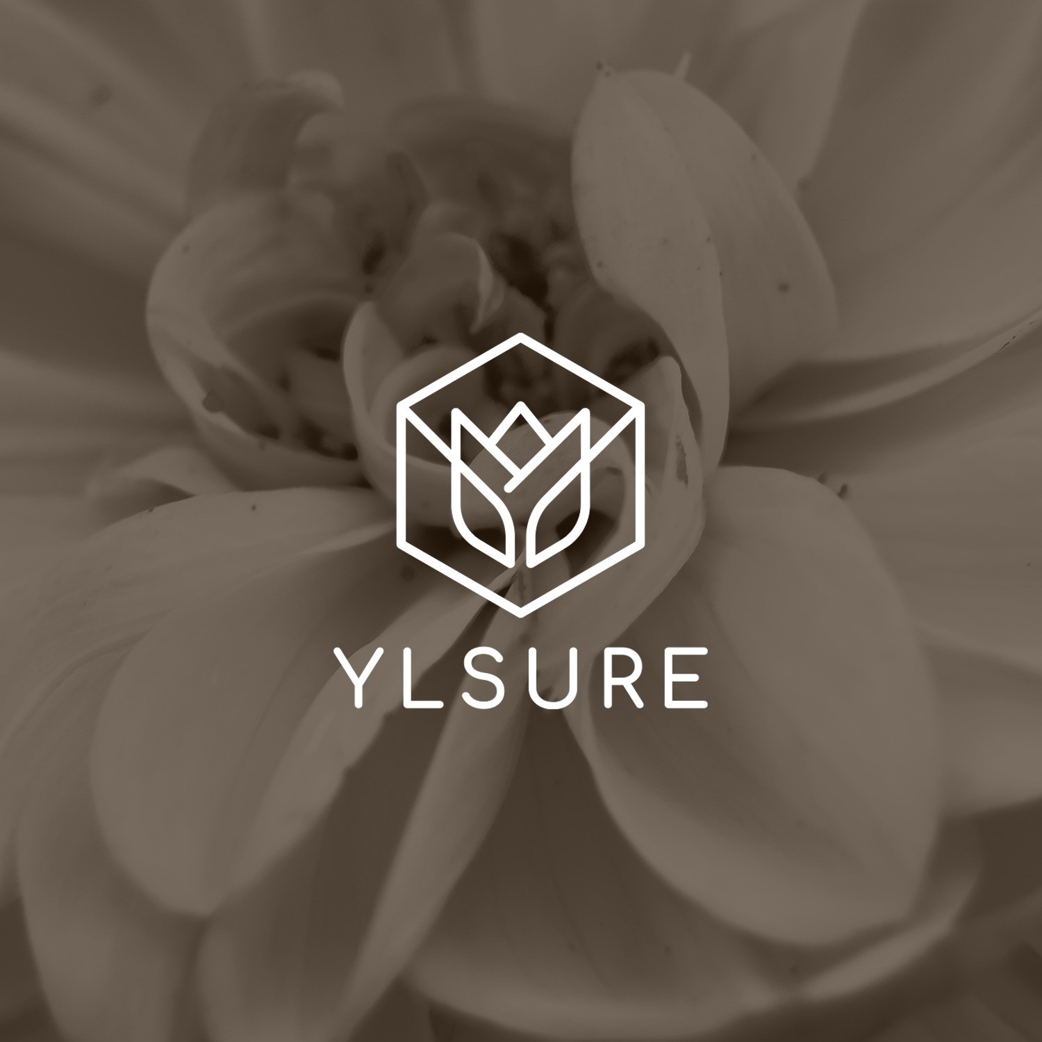 포트폴리오-flower shop 'YLSURE' 로고디자인