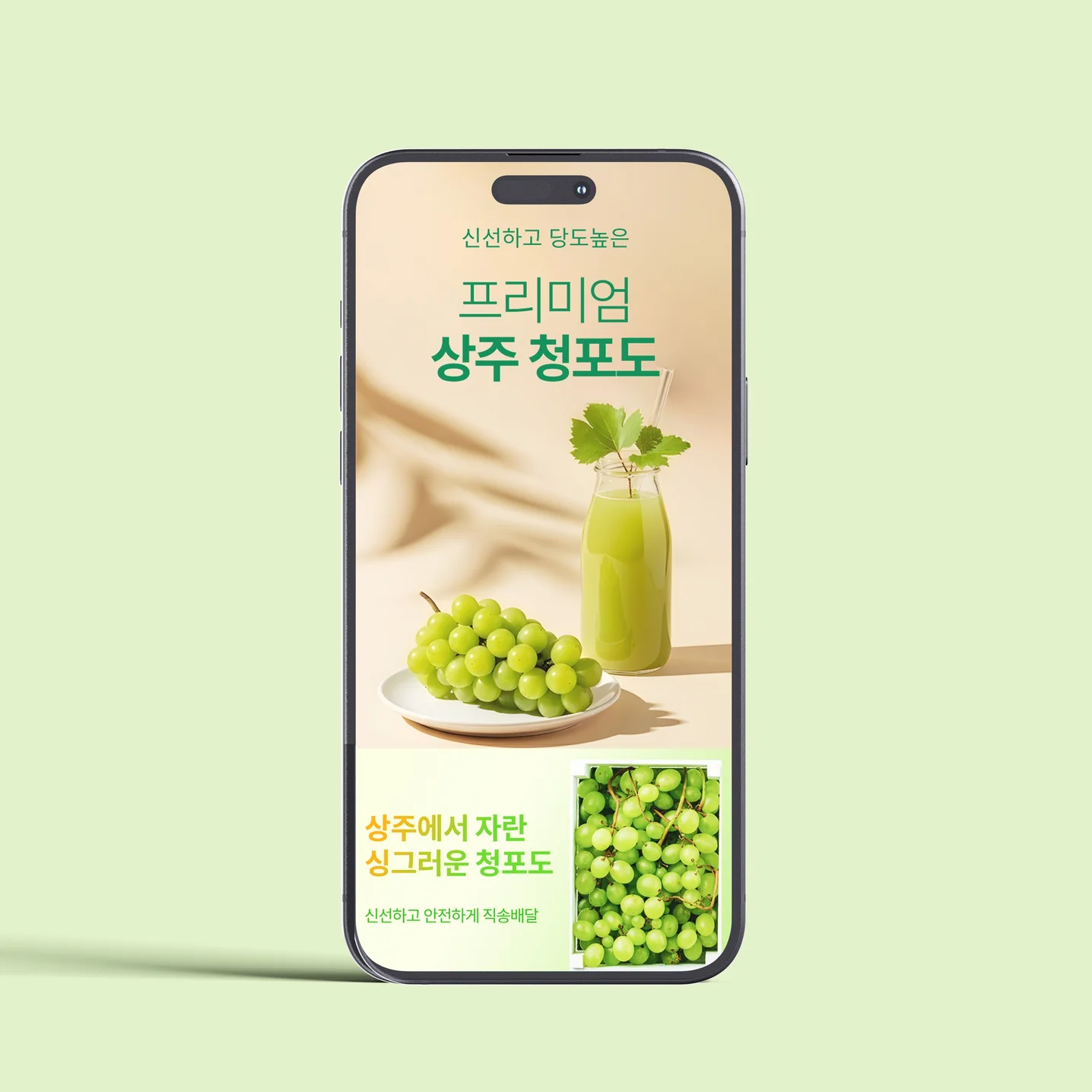 포트폴리오 메인이미지