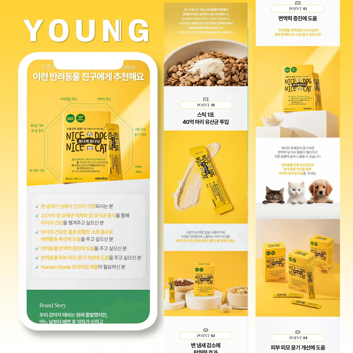 포트폴리오 메인이미지