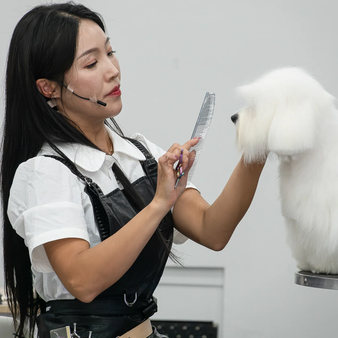 포트폴리오 메인이미지