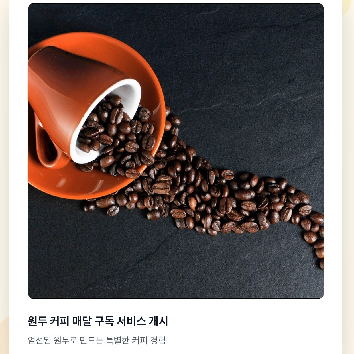 포트폴리오 메인이미지