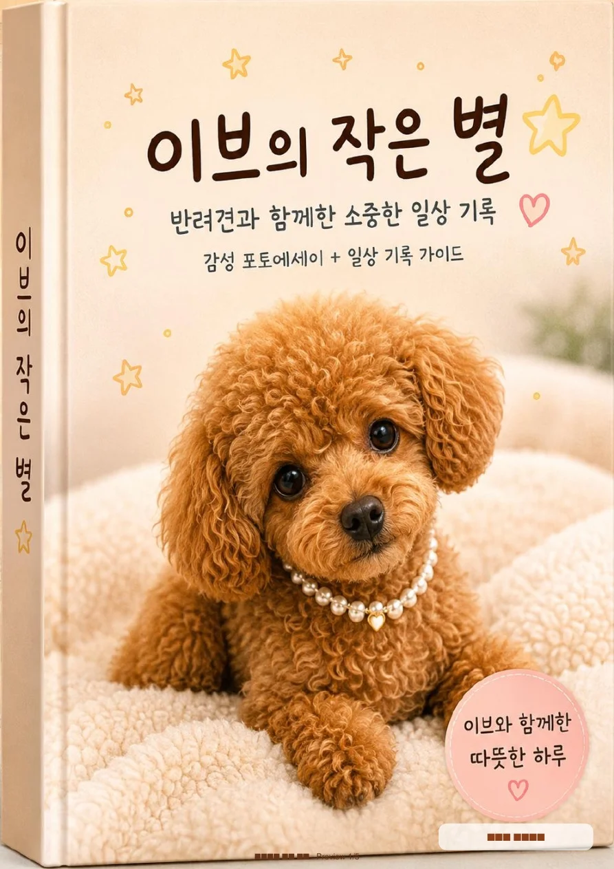 디자인 포트폴리오