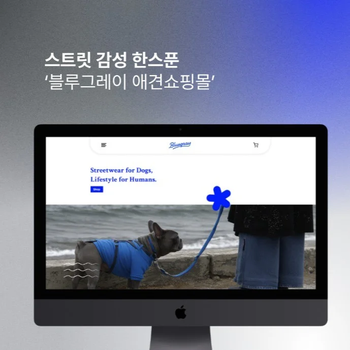 포트폴리오 메인이미지