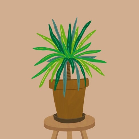 포트폴리오-Plant Pot