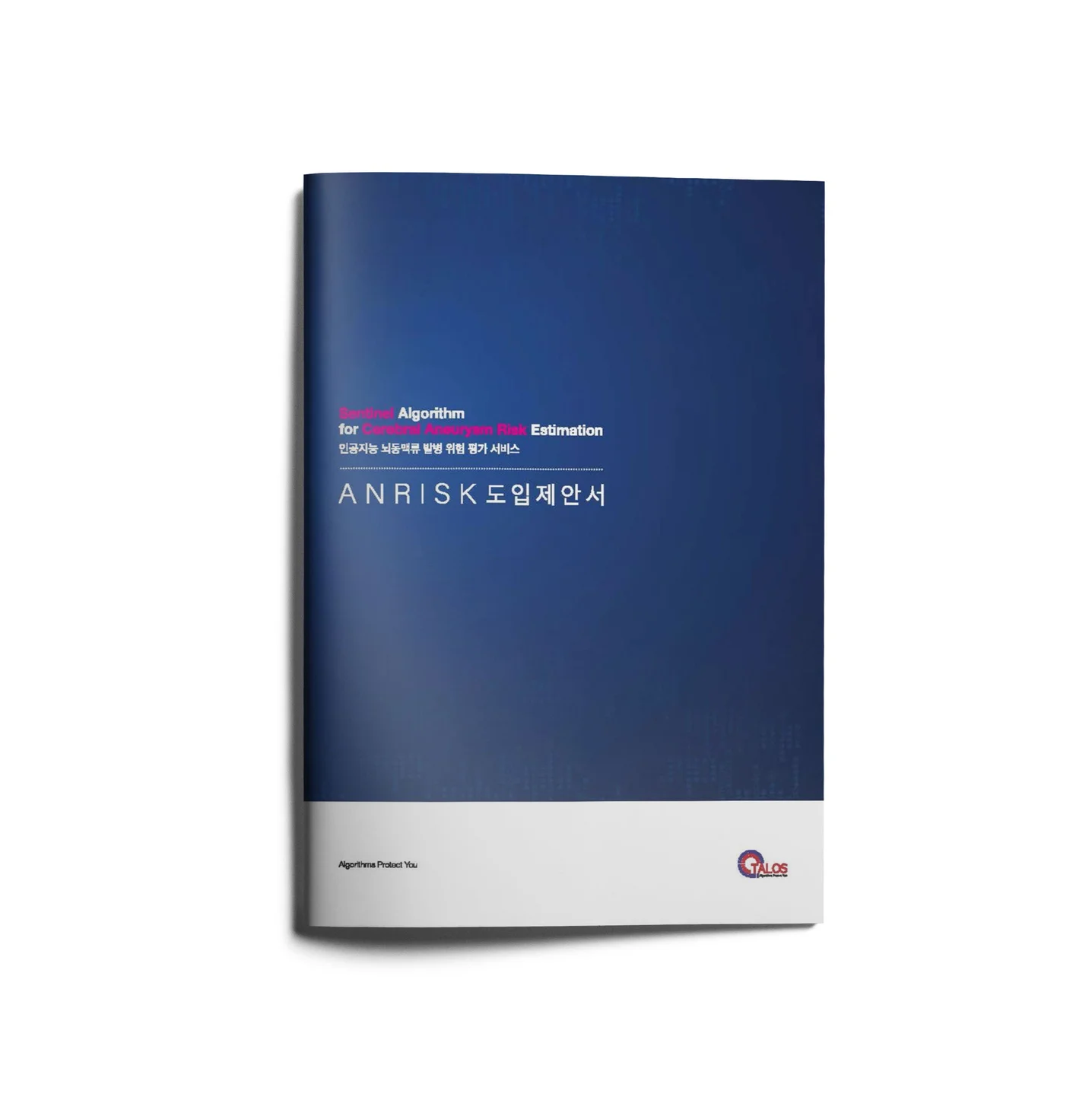포트폴리오 메인이미지