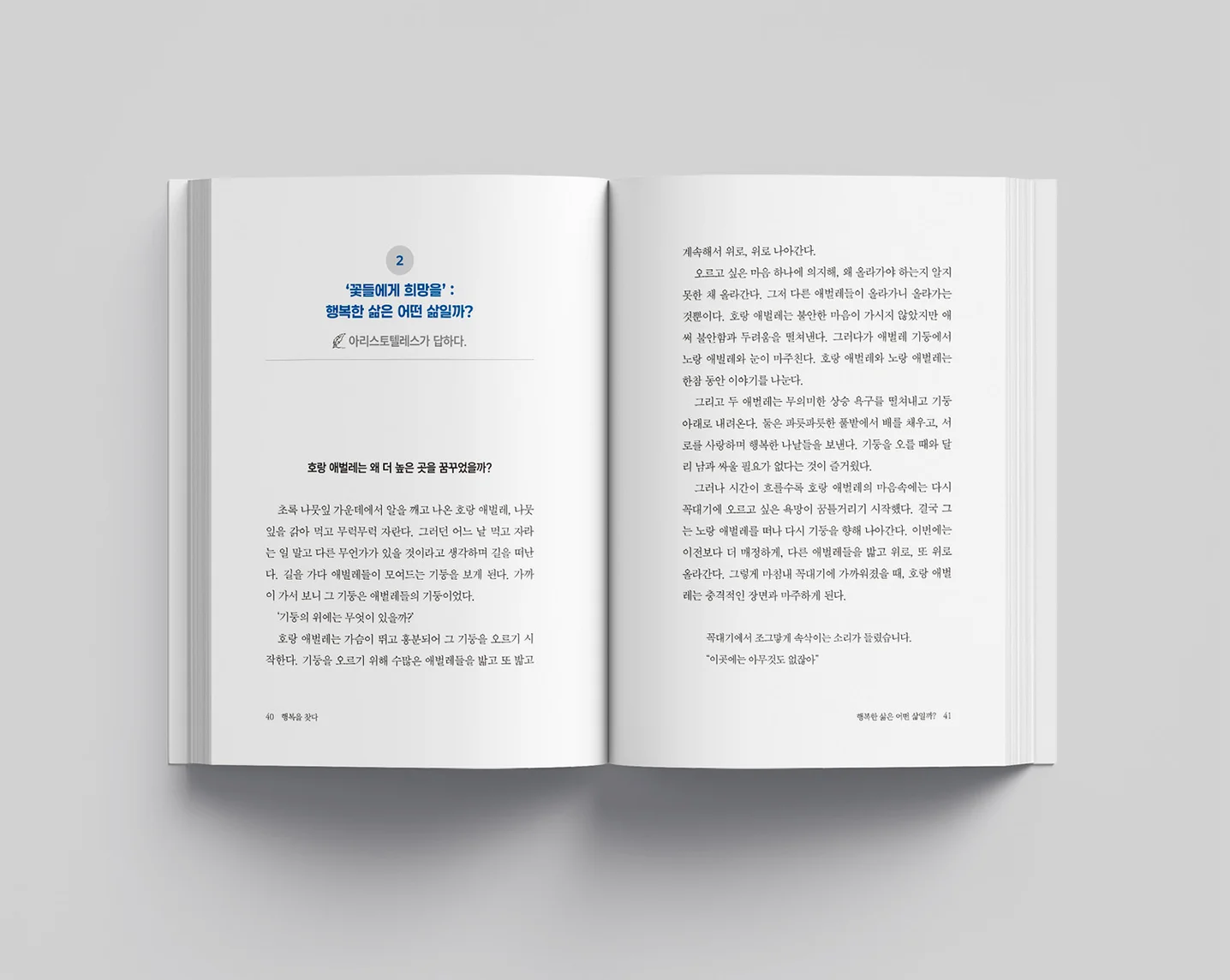 디자인 포트폴리오