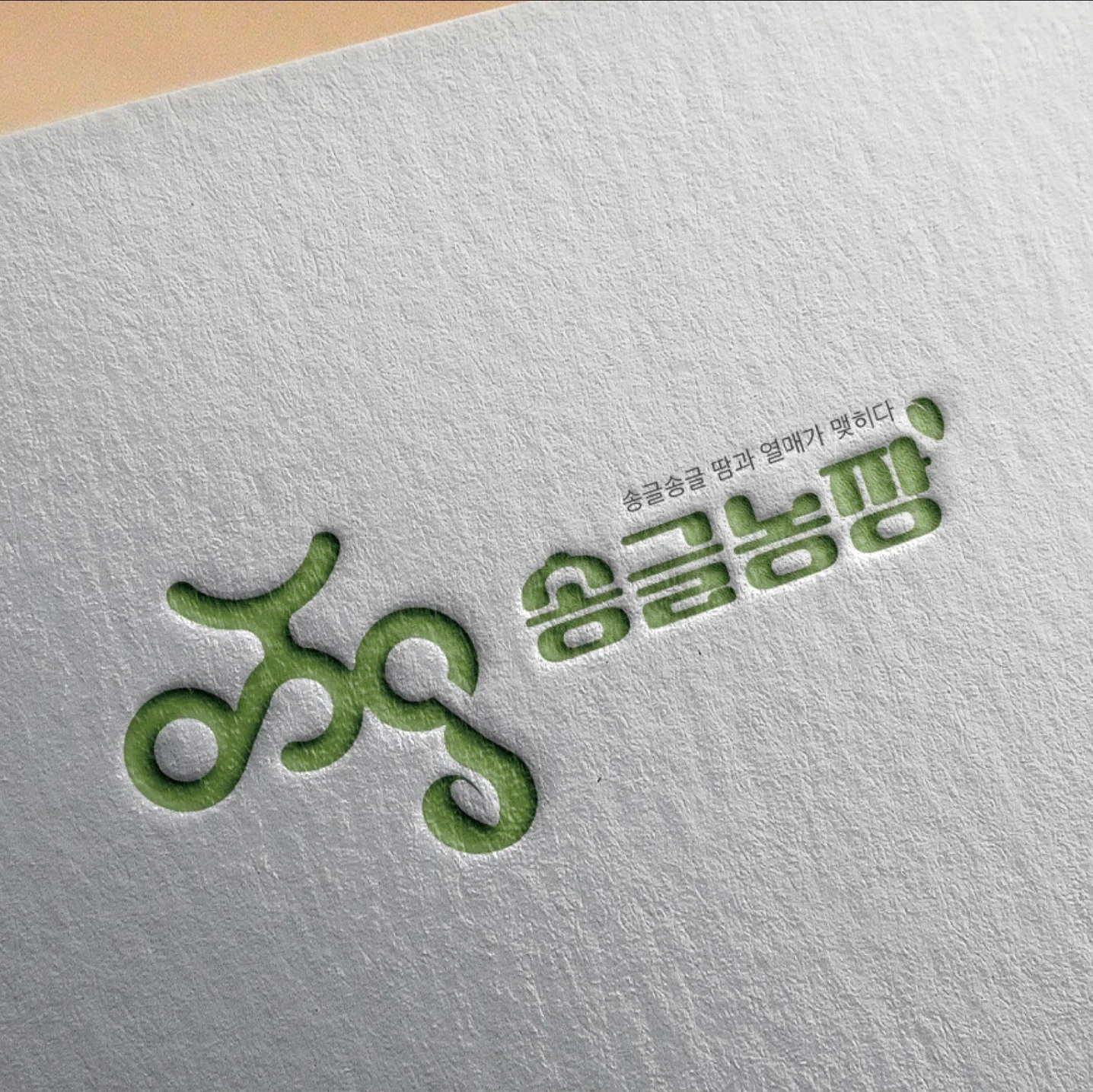 포트폴리오 메인이미지