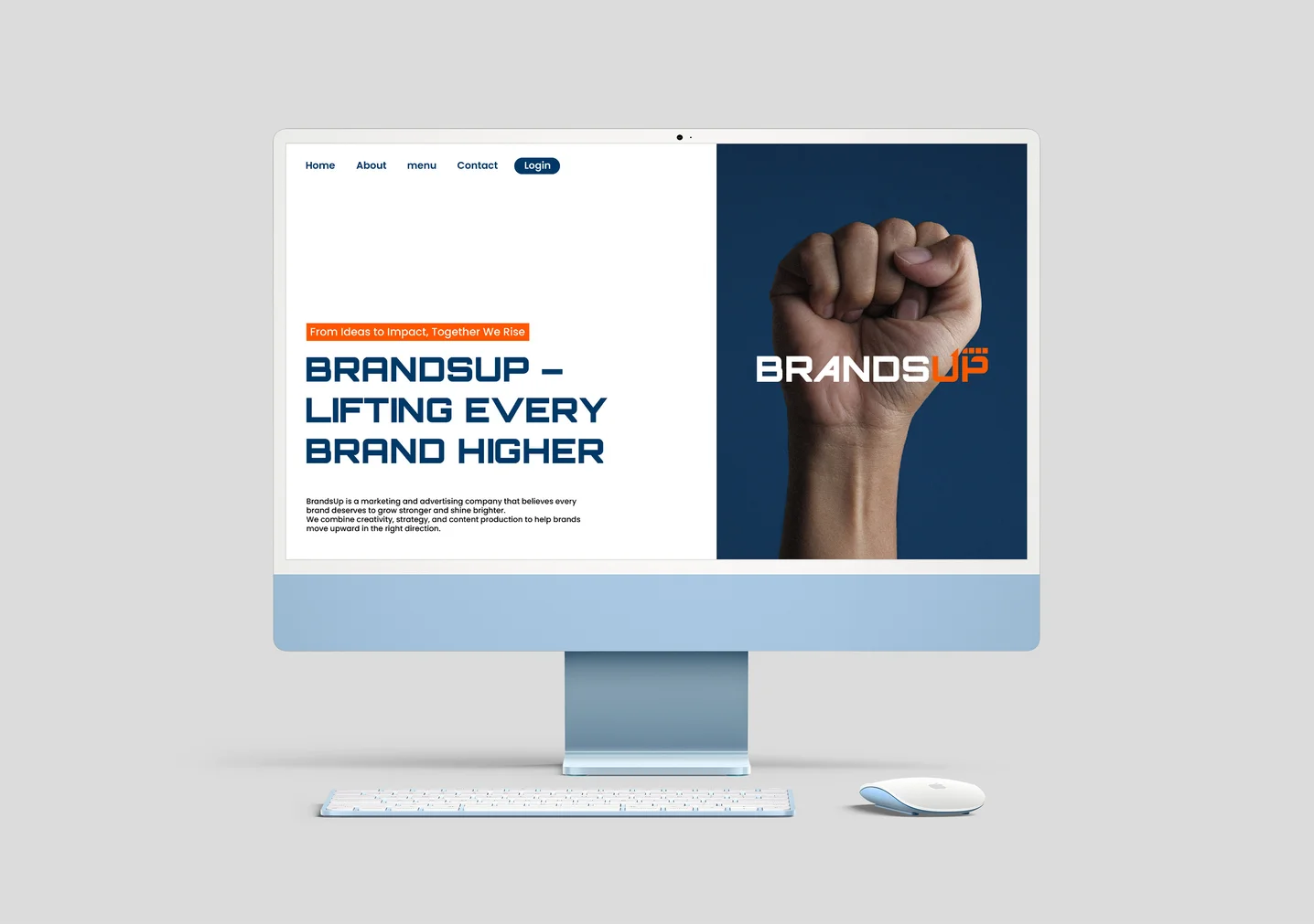 디자인 포트폴리오