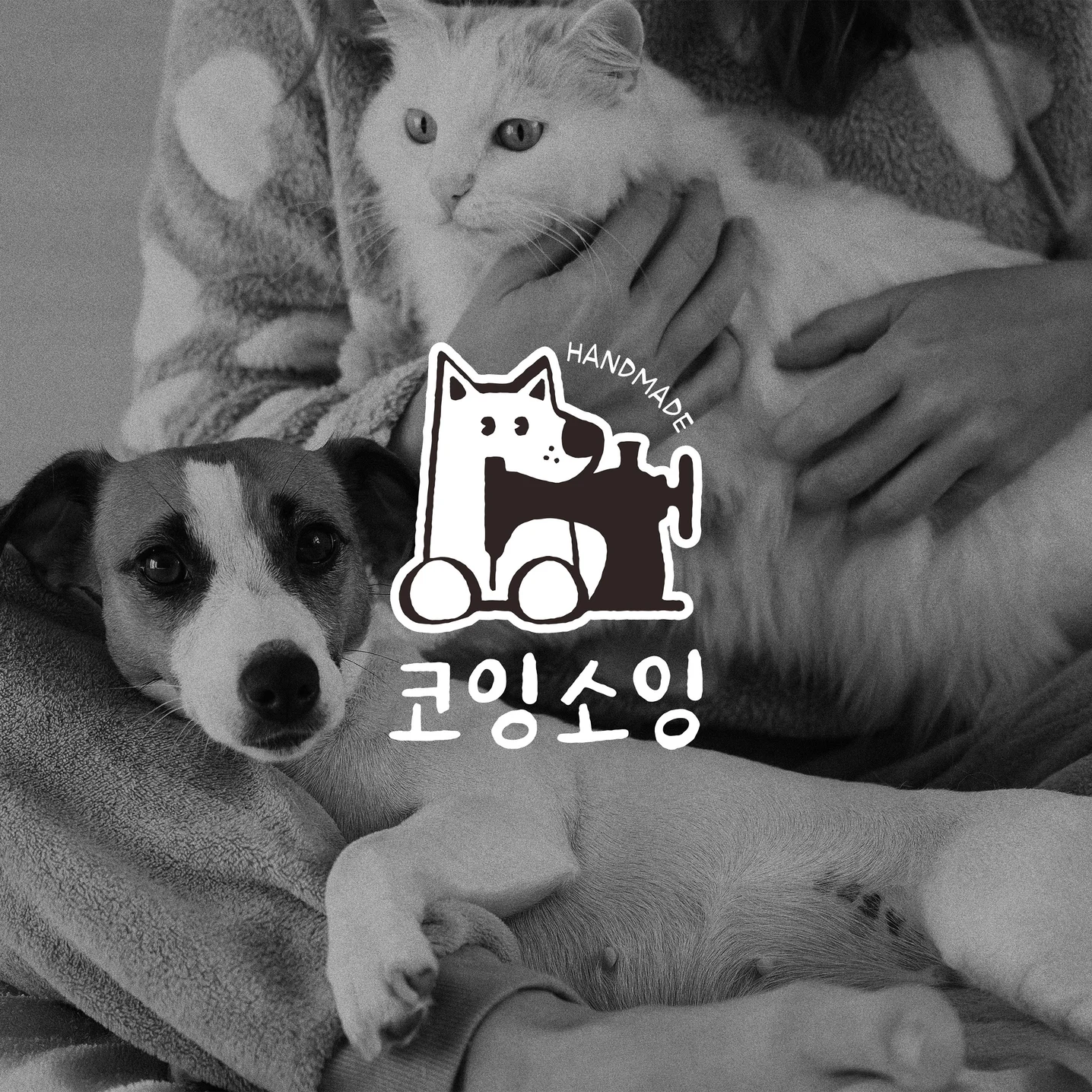 포트폴리오 메인이미지